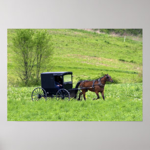 Amish-Pferd und Buggy in der Nähe von Berlin, Ohio Poster