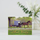 Amish Pferd und Buggy, Lancaster, PA Postkarte (Stehend Vorderseite)