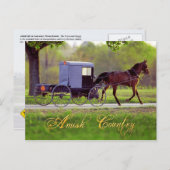 Amish Pferd und Buggy, Lancaster, PA Postkarte (Vorne/Hinten)