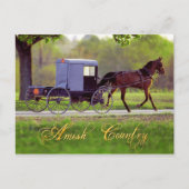 Amish Pferd und Buggy, Lancaster, PA Postkarte (Vorderseite)