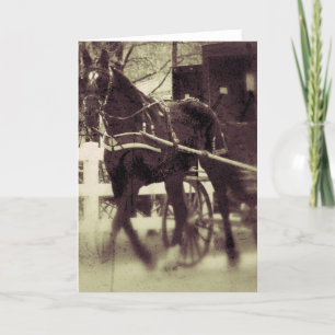 Amish-Pferd und Buggy, ländliche Iowa-Fotografie Karte