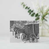 Amish Pferd und Buggy Postkarte (Stehend Vorderseite)