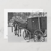 Amish Pferd und Buggy Postkarte (Vorne/Hinten)