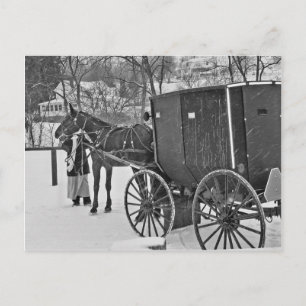 Amish Pferd und Buggy Postkarte