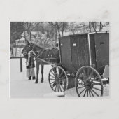 Amish Pferd und Buggy Postkarte (Vorderseite)