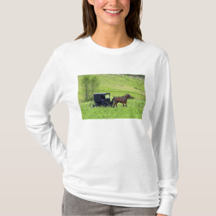 Amish-Pferd und Kutsche nahe Berlin, Ohio. T-Shirt