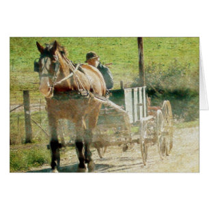 Amish Pferd und Warenkorb