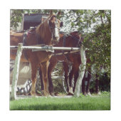 Amish Pferde an der Hitching Post rund um Äpfel Fliese (Vorderseite)