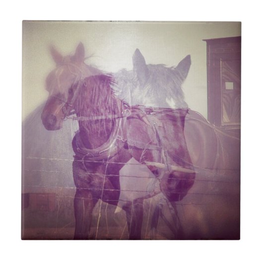 Amish Pferde digitale Collage Fliese (Vorderseite)