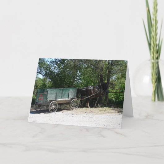 Amish Pferde Karte (Vorderseite)