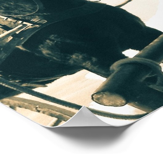 Amish Pferde Poster (Ecke)