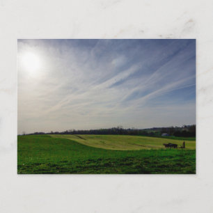 Amish-Pferdepflug, Holmes County, Ohio Postkarte