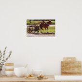 Amish Pony Cart Poster (Küche)