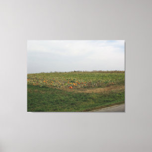 Amish Pumpkin Patch Farm Fotografie Wall Art Leinwanddruck