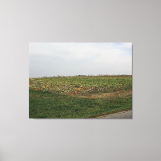 Amish Pumpkin Patch Farm Fotografie Wall Art Leinwanddruck (Vorderseite)
