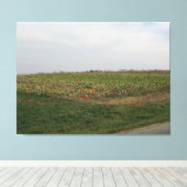 Amish Pumpkin Patch Farm Fotografie Wall Art Leinwanddruck (Insitu (Holzboden))