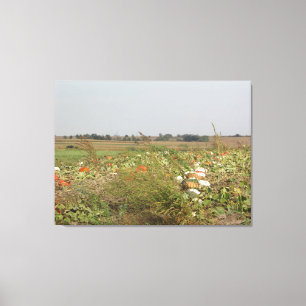 Amish Pumpkin Patch Farm Fotografie Wall Art Leinwanddruck