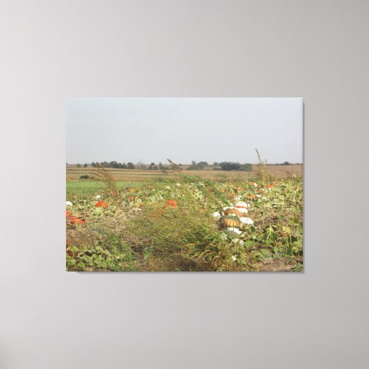 Amish Pumpkin Patch Farm Fotografie Wall Art Leinwanddruck (Vorderseite)