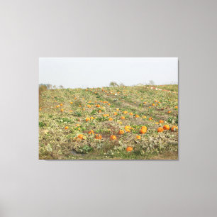 Amish Pumpkin Patch Fotografie Wall Art Leinwanddruck