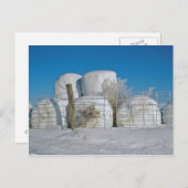 Amish Round Hay Bales-Postcard Postkarte (Vorne/Hinten)