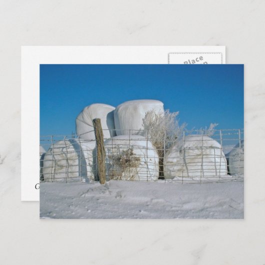 Amish Round Hay Bales-Postcard Postkarte