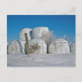 Amish Round Hay Bales-Postcard Postkarte (Vorderseite)
