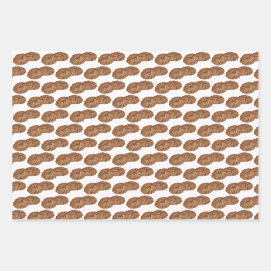 Amish Shoo Fly Pie Apple Dumpling Ginger Snaps Geschenkpapier Set (Vorderseite)