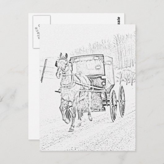 Amish Sketch-Pferd und Buggy-Postkarte Postkarte (Vorne/Hinten)
