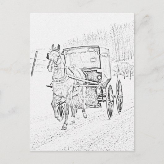 Amish Sketch-Pferd und Buggy-Postkarte Postkarte (Vorderseite)