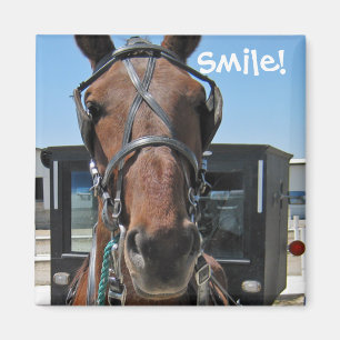 Amish Smile; o) Magnet