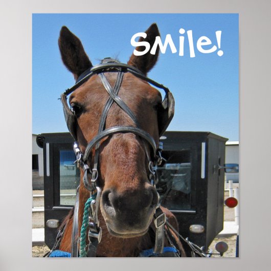 Amish Smile Poster (Vorne)