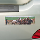Amish Team Autoaufkleber (Auf Auto)