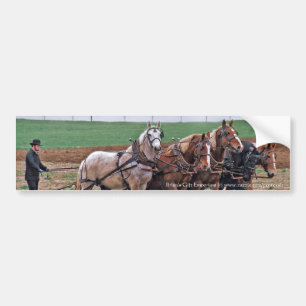 Amish Team Autoaufkleber