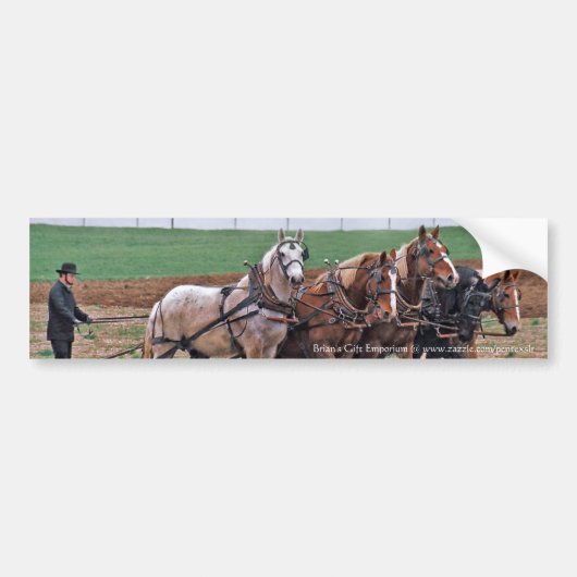 Amish Team Autoaufkleber (Vorne)