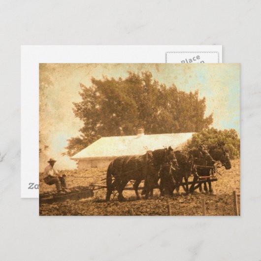 Amish Team Postkarte (Vorne/Hinten)