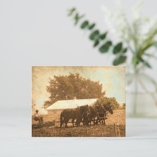 Amish Team Postkarte (Stehend Vorderseite)