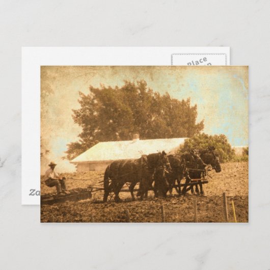 Amish Team Postkarte (Vorne/Hinten)