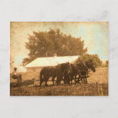 Amish Team Postkarte (Vorderseite)