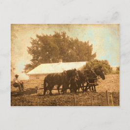 Amish Team Postkarte