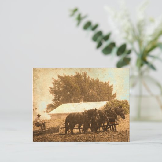 Amish Team Postkarte (Stehend Vorderseite)