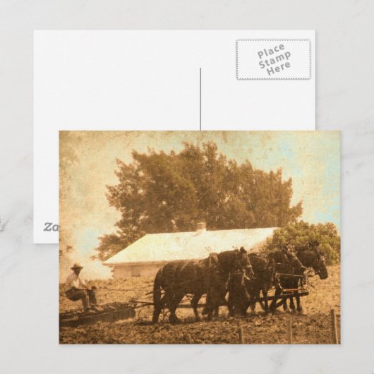 Amish Team Postkarte (Vorne/Hinten)