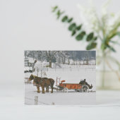 Amish Winter Bauer auf Spreader-Postcard Postkarte (Stehend Vorderseite)