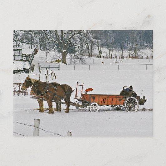 Amish Winter Bauer auf Spreader-Postcard Postkarte (Vorderseite)