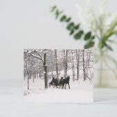 Amish Winter Snow Scene-Postcard Postkarte (Stehend Vorderseite)