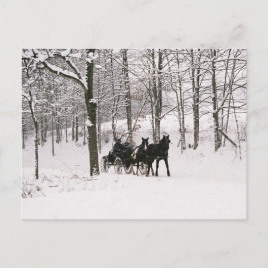 Amish Winter Snow Scene-Postcard Postkarte (Vorderseite)