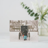Amish Woman Loading Buggy - Postcard Postkarte (Stehend Vorderseite)