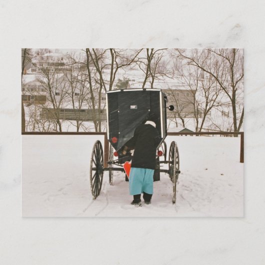 Amish Woman Loading Buggy - Postcard Postkarte (Vorderseite)