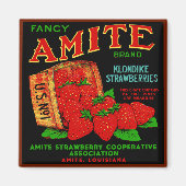 Amite Klondike Strawberries Magnet (Vorne)