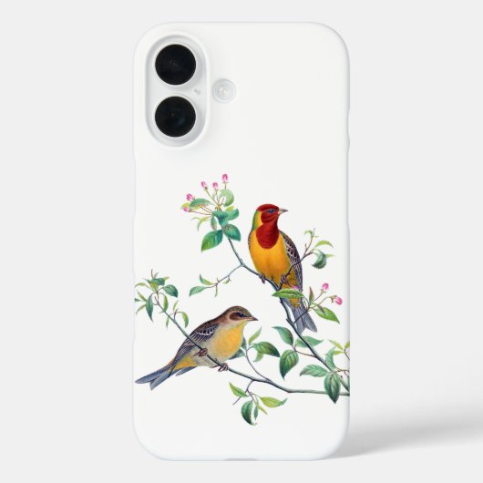 Ammer Vögel auf Zweigen Case-Mate iPhone Hülle (Rückseite)