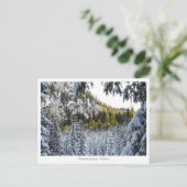 Ammergauer Alpen Postkarte (Stehend Vorderseite)